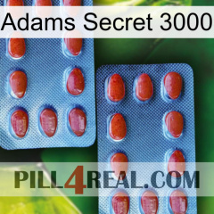 Adams Secret 3000 05